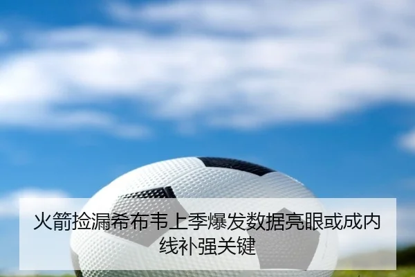 火箭捡漏希布韦上季爆发数据亮眼或成内线补强关键 | bsport