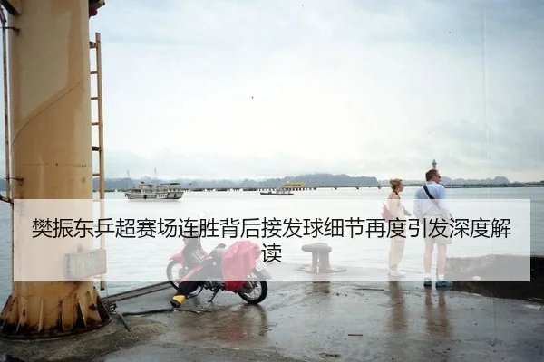 樊振东乒超赛场连胜背后接发球细节再度引发深度解读 | bsport