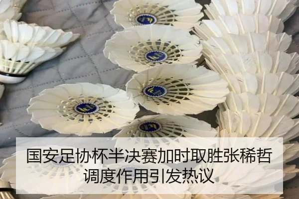 国安足协杯半决赛加时取胜张稀哲调度作用引发热议 | bsport